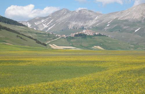 Marco & Andrea Agriturismo Collepina - Foto 6