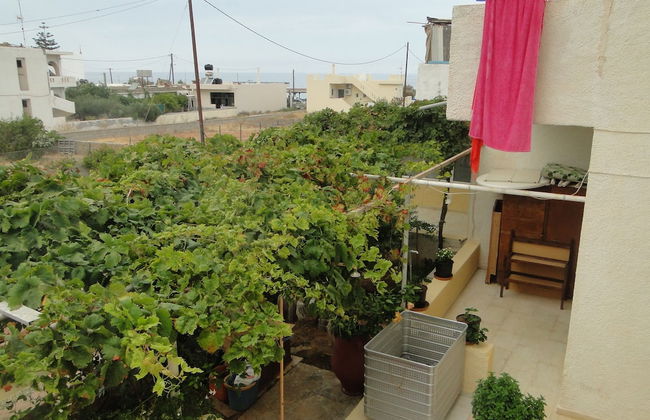 Paradise Inn - Foto 27