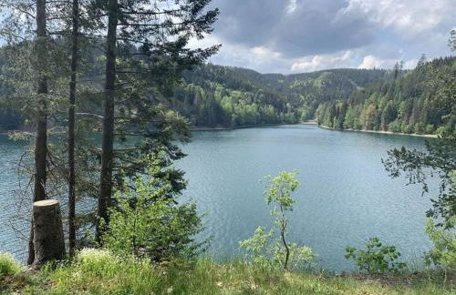 holiday home in the Franconian Forest - Foto 31