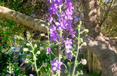 Casa Marina Lu Tuvaraggiu Casa vacanze - Photo 31