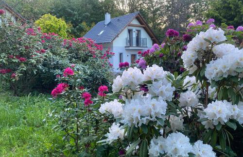 Domki PrzySowie - Góry Sowie - Foto 29