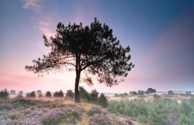 Tranquil Stay in Drenthe - Photo 30