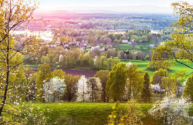 4 Person Holiday Home in Axvall-by Traum - Foto 31