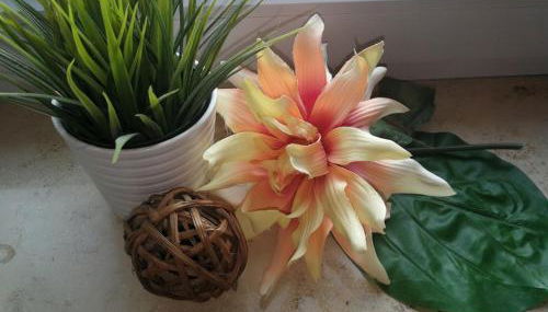 Ferienwohnungen Däubler - Foto 4