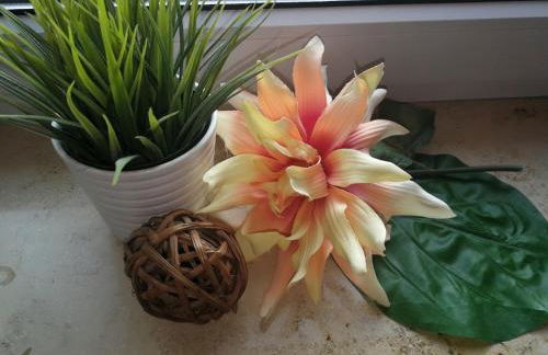 Ferienwohnungen Däubler - Foto 4