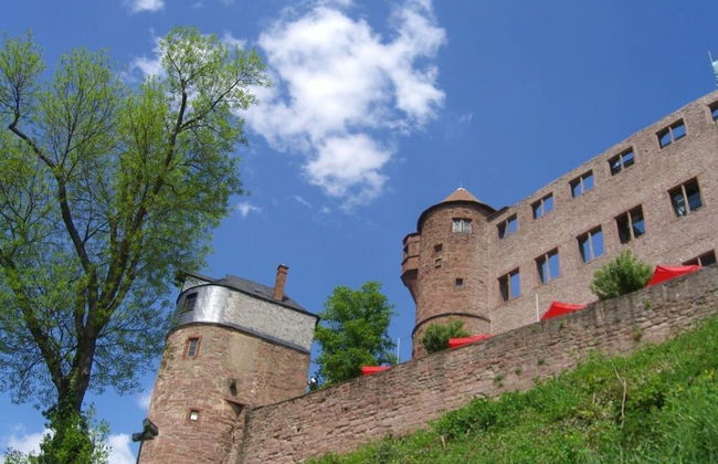 Apartment in Tauberbischofsheim - Foto 24