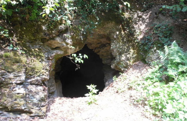 Holiday Home Weins Comfortable Vacation Home - Foto 14