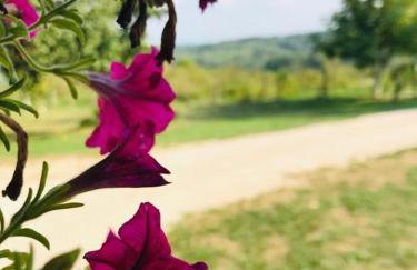 Apartments Laura - Foto 35