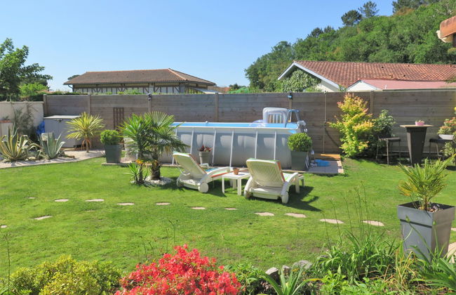 Les Camélias - Foto 15