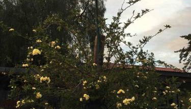 Pacific Coast Hwy Bunkhouse in San Luis Obispo - Foto 2