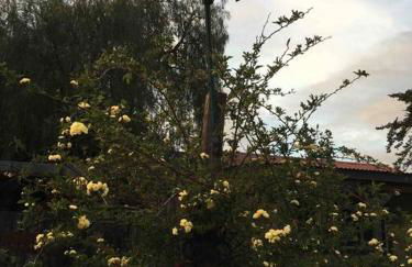 Pacific Coast Hwy Bunkhouse in San Luis Obispo - Foto 2