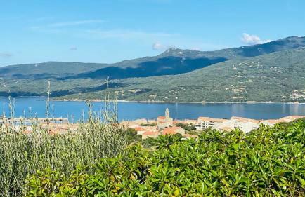 Résidence U Frusteru - Foto 20