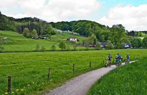Ferienwohnung Gemmel - Photo 20