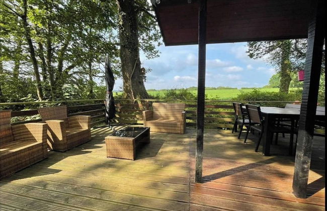 11 Tan-y-coed Woodland Lodge - Foto 28