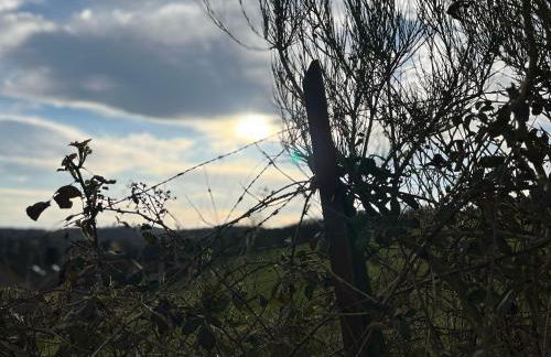 RINGZEIT-Lodge - Foto 54