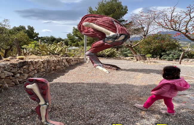 Dinopark Algar - Foto 9