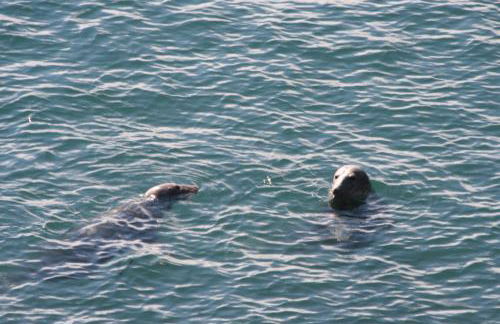 Rosebud cottage Romantic cottage for a couple - Photo 13