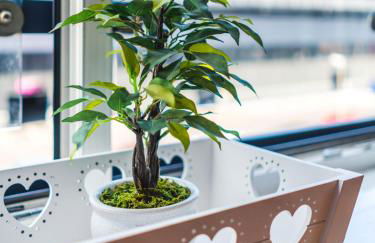 Birmingham City Centre- Free Parking - No Deposit - Foto 69