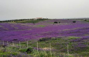 El Refugio - Foto 63