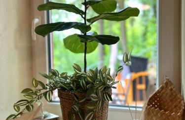 Traumferienwohnungen Georgenthal - Foto 12