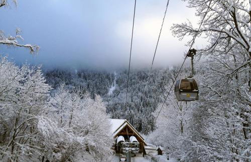 VENOSC Le Haut de la Grange - Foto 34