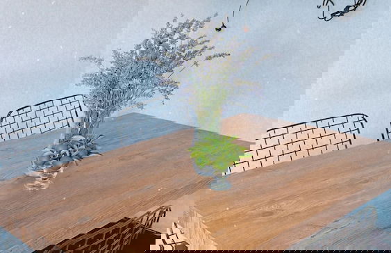 Coconut Apart - Foto 12