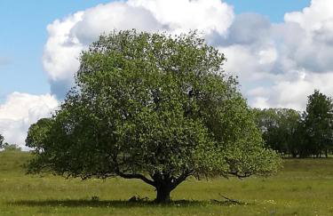 Lichte Wohnung zum Wohlfühlen - Photo 13