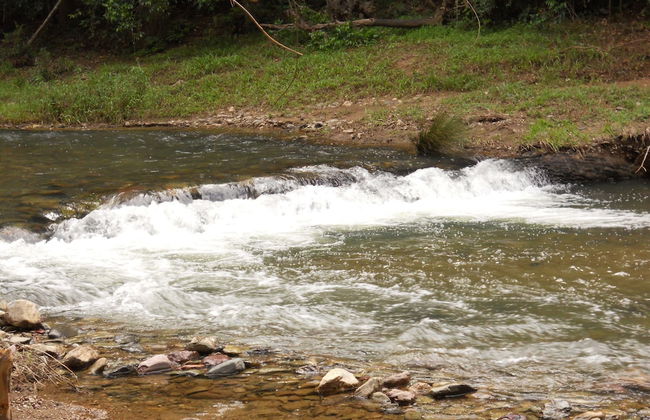 Yabbaloumba Retreat - Foto 24