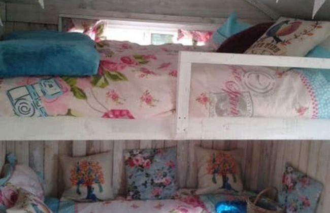 Ruby Shepherds hut Sleeps 4 - Photo 3