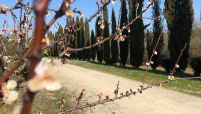 Cascina De' Fagiolari - Foto 4