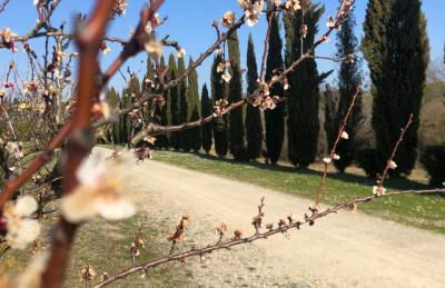 Cascina De' Fagiolari - Foto 4