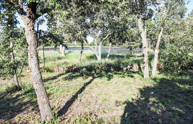 La Chênaie - Foto 48