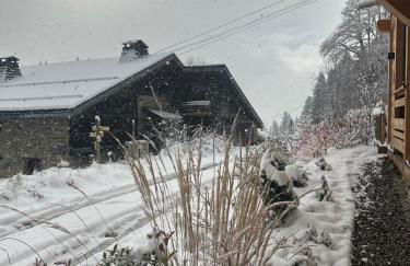 Chalet ski-in-out face au MontBlanc & Bain nordique - Foto 45