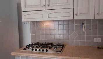 Il rosmarino - Foto 3