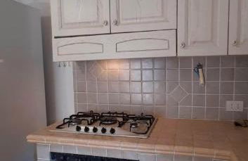 Il rosmarino - Foto 3