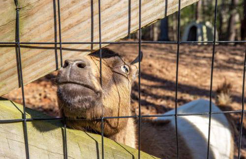 Lake Ranch - Foto 29