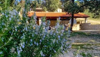 Apartments MULOBEDANJ - Foto 4, Garden