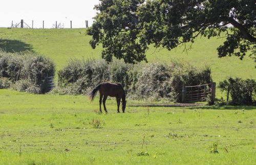 The Old Parlour - Photo 24