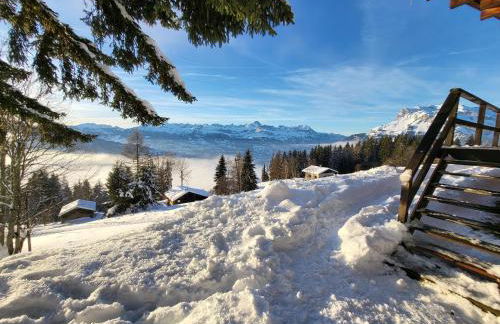 Chalet d'alpage avec vue incroyable - Foto 58