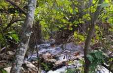 Casa Rural Lavanda con Piscina - Foto 73