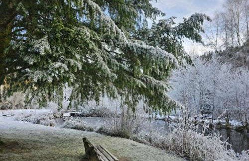 Ferienwohnung Tannenballett im Schwarzwald - Foto 61