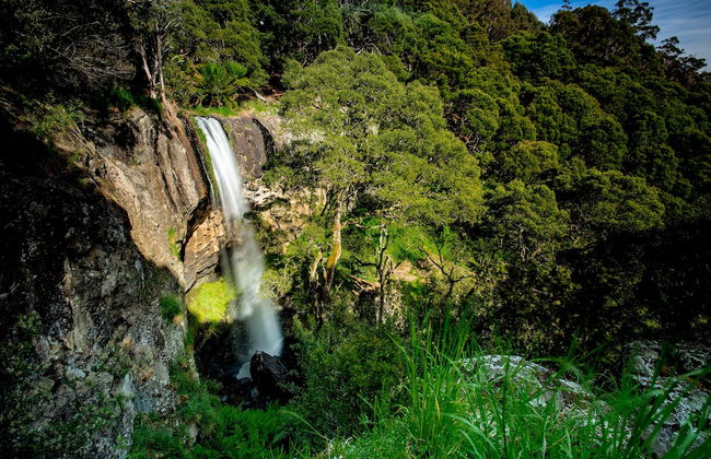 BIG4 Tassie Getaway Park Ulverstone - Foto 37