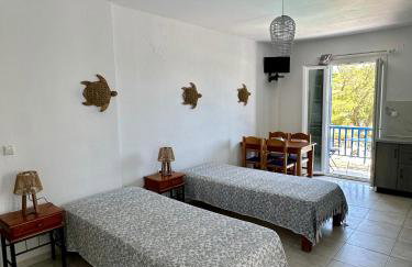 Tinos apartments Zalonis - Foto 38