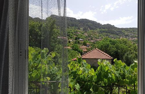 ELLI΄S HOUSE ΣΥΓΧΡΟΝΟ ΣΠΙΤΙ ΣΤΑ ΠΡΑΜΑΝΤΑ - Photo 8