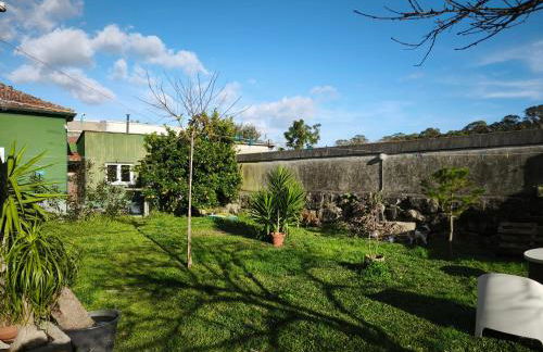 Agra Pet Studio I - Foto 2