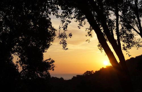 Maison au calme piscine mer au coeur de la nature U Nuciolu - Foto 22