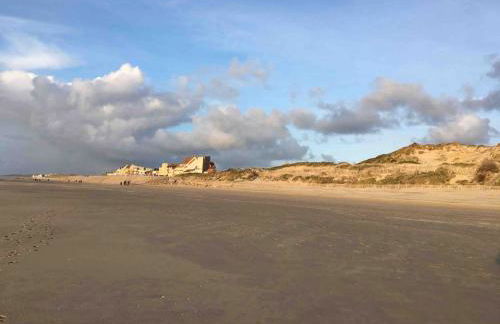 Les Bleuets - Foto 38