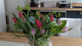 Ferienwohnung Sorgenfrei - Foto 5