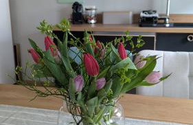 Ferienwohnung Sorgenfrei - Foto 5