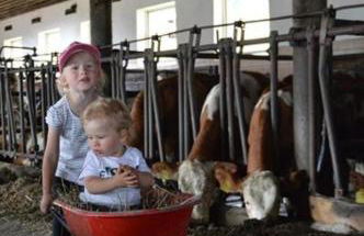 Ferienhof Altmann - Foto 36